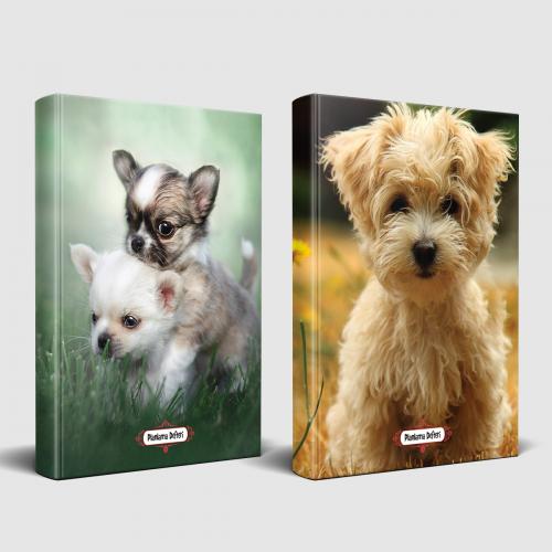 Köpek Temalı Defter Seti Minik Arkadaş ve Masum Köpekcik - Halkkitabev