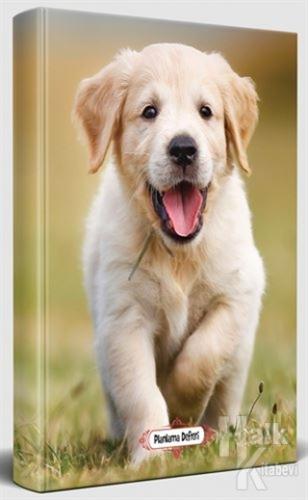 Mutlu Prens - Süresiz Planlama Defteri