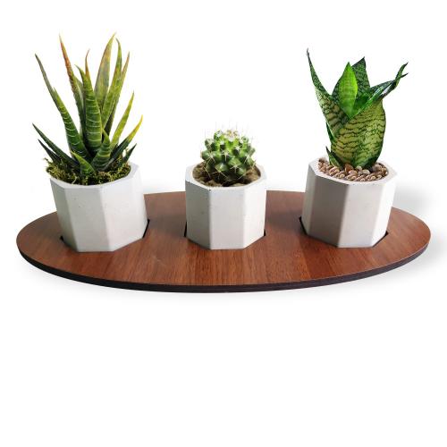 Oval Ahşap Ayaklı 6gen Beton Saksı Seti - Halkkitabevi