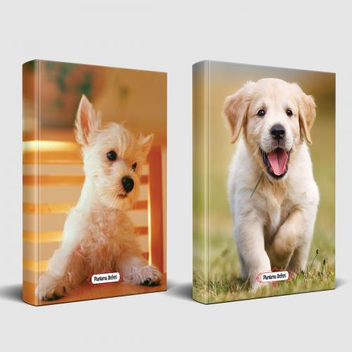 Köpek Temalı Defter Seti Pamuk Şeker ve Mutlu Prens