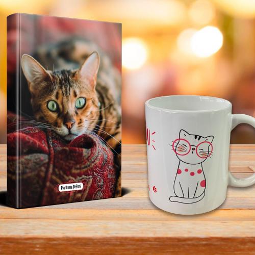 Saskin Kedi Ajanda Sevimli Kedi Kupa Seti