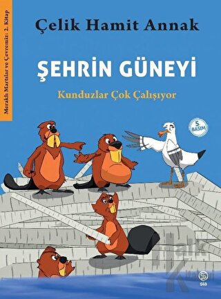 Şehrin Güneyi - Kunduzlar Çok Çalışıyor