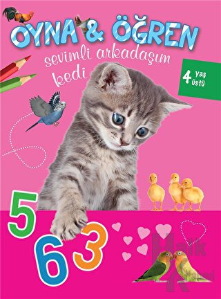 Sevimli Arkadaşım Kedi