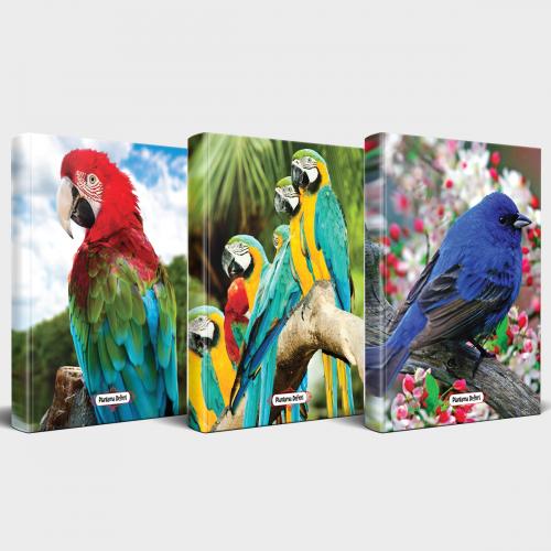 Sevimli Hayvanlar Defter Seti 3'lü v2