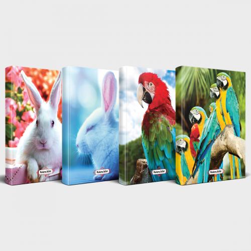 Sevimli Hayvanlar Defter Seti 4'lü v2