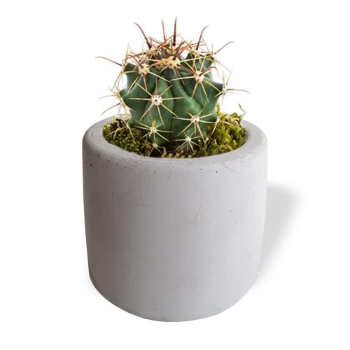 Silindir Beton Saksı Küçük Boy - Halkkitabevi