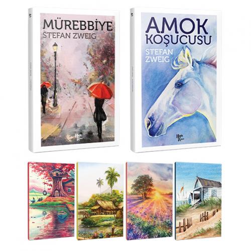 Stefan Zweig 2 Kitap Bir Arada ve 4 Defter -6