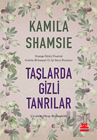 Taşlarda Gizli Tanrılar