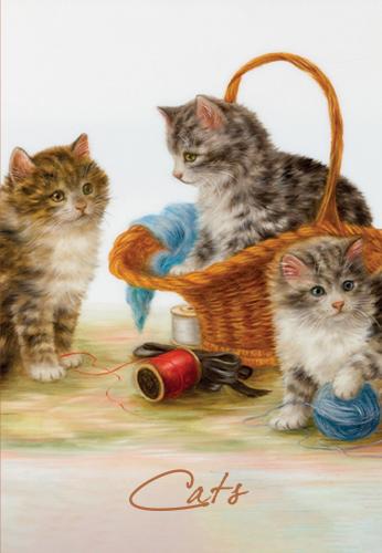 Tekir 13,5x19,5cm Çizgili Defter 128 Sayfa